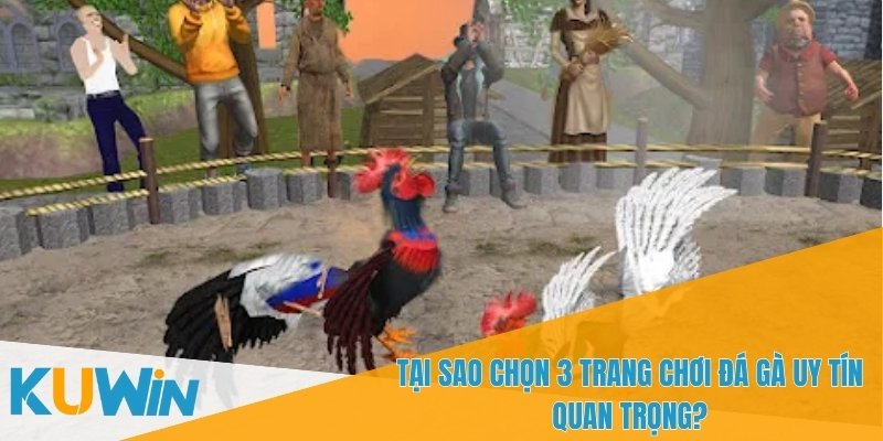 3 trang chơi đá gà uy tín luôn đảm bảo công bằng