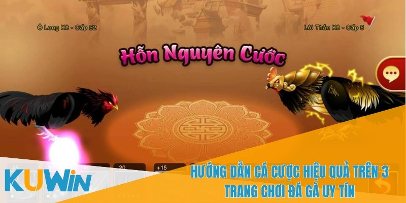 3 trang chơi đá gà uy tín cho phép nạp và rút tiền dễ dàng