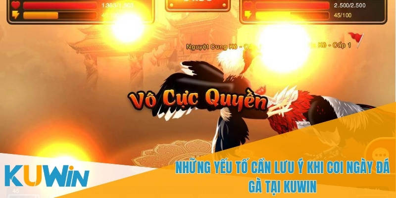 Phong thủy là yếu tố quan trọng khi chọn ngày đá gà