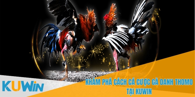 Người chơi cần đủ từ 18 tuổi trở lên để tham gia cá cược