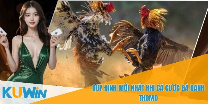 Tỷ lệ cược trong Gà danh Thomo luôn được cập nhật
