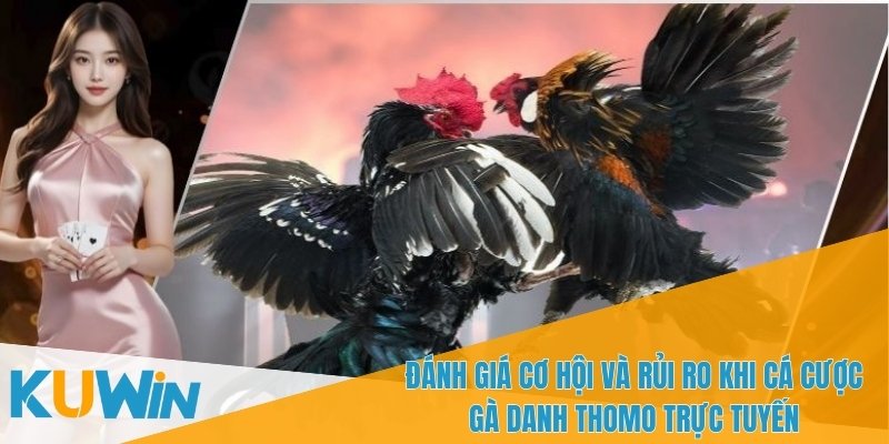 Bạn có thể theo dõi trận đấu Gà danh Thomo trực tiếp
