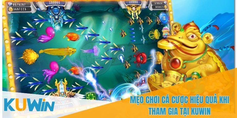 Cách chơi cá cược thông minh và an toàn khi tham gia nhà cái
