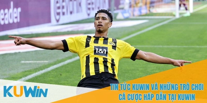 Những tựa game cá cược hot nhất tại tin tức KUWIN