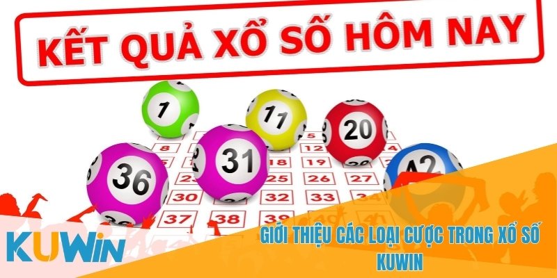 Các loại cược đa dạng dành cho người chơi Xổ Số