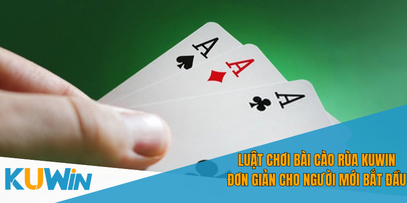 Bài cào rùa KUWIN phù hợp cả người mới lẫn chuyên nghiệp